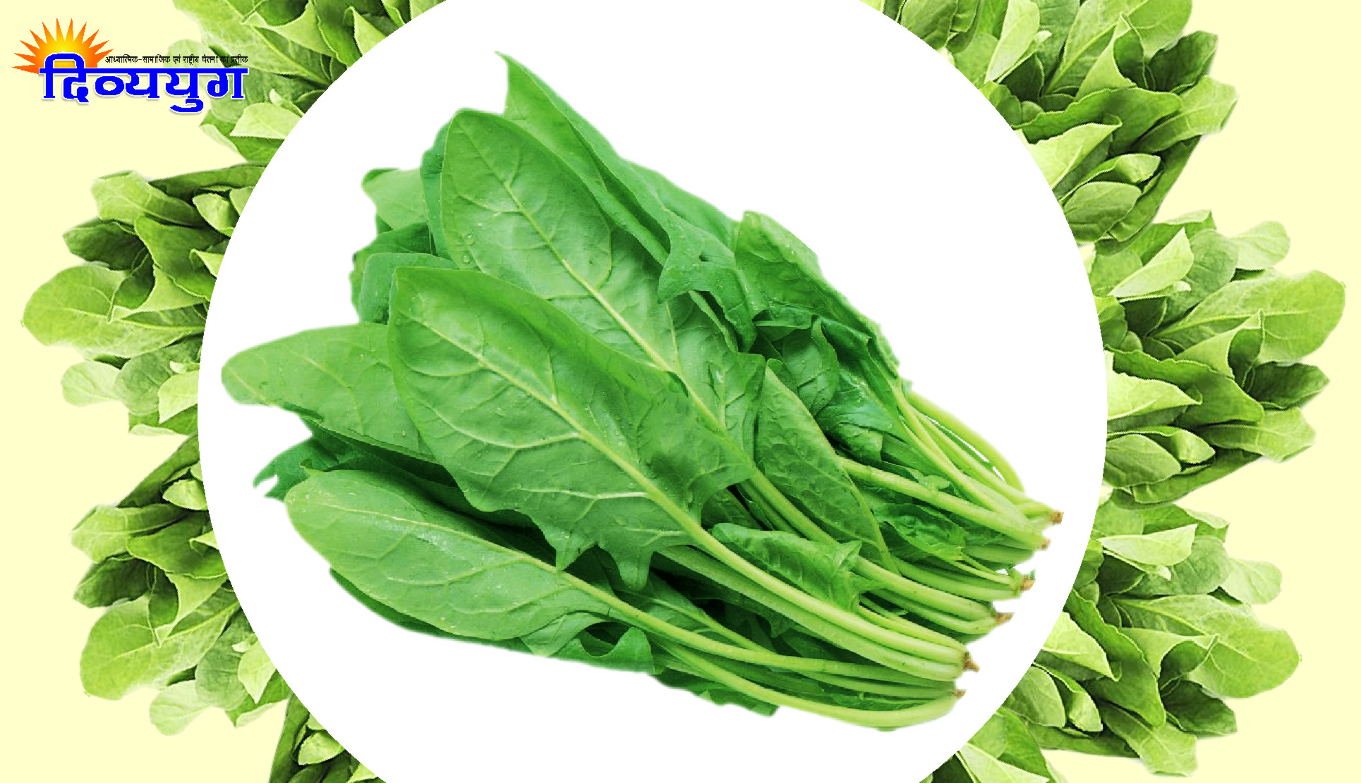 palak